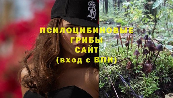 PSILOCYBIN Абдулино
