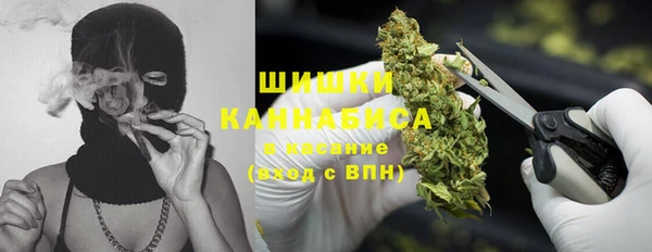 PSILOCYBIN Абдулино
