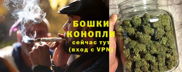 PSILOCYBIN Абдулино