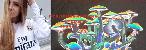 PSILOCYBIN Абдулино
