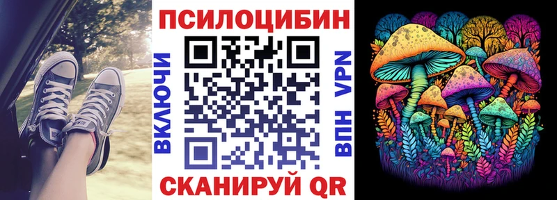 OMG ссылка  Тихорецк  Псилоцибиновые грибы GOLDEN TEACHER 