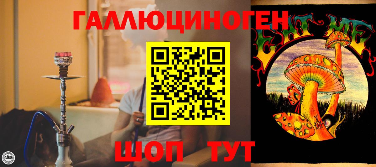 Тихорецк  Псилоцибиновые грибы GOLDEN TEACHER  Псилоцибиновые грибы Cubensis  Вход с VPN 