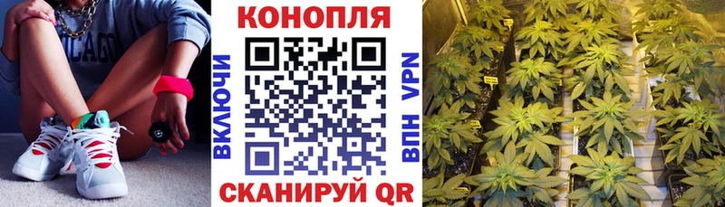 МАРИХУАНА THC 21%  что такое   Тихорецк 